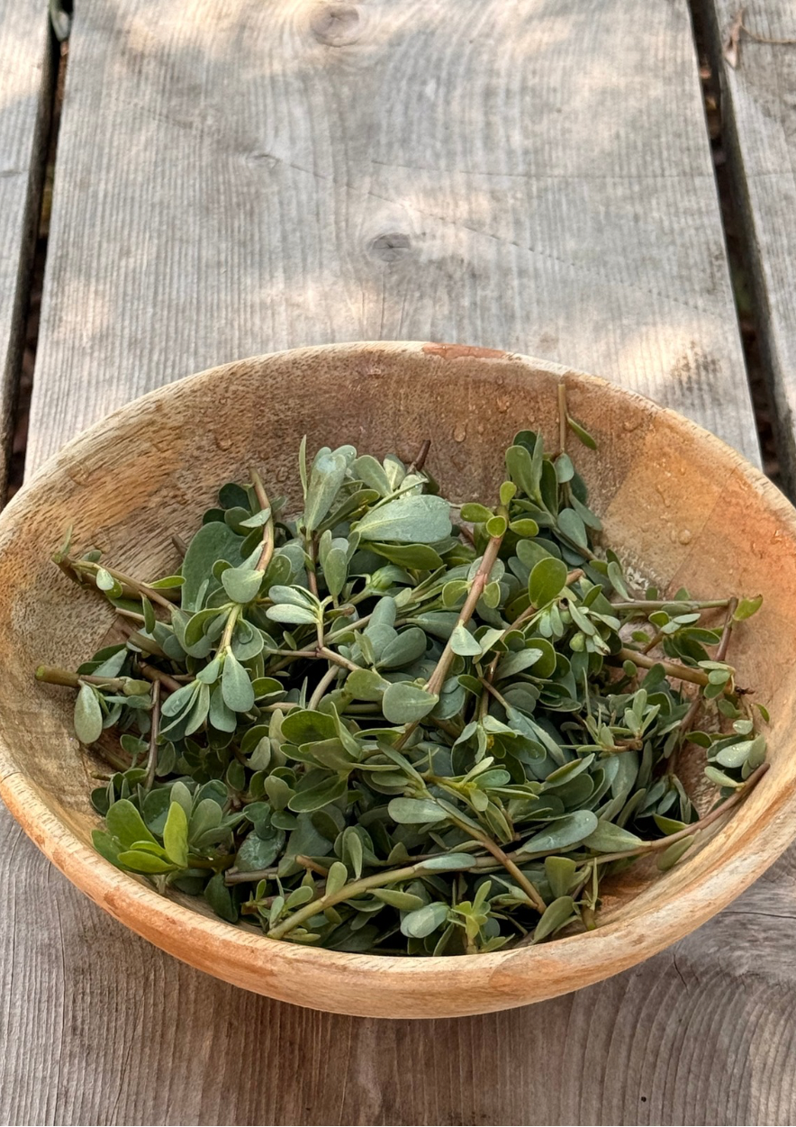 Le pourpier : cette “mauvaise herbe” qui mérite une place dans nos assiettes